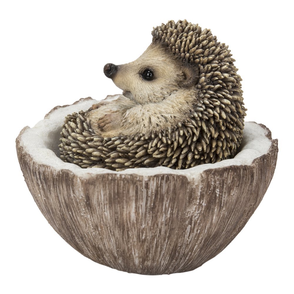 Coconut Hedgehog. Picture 1