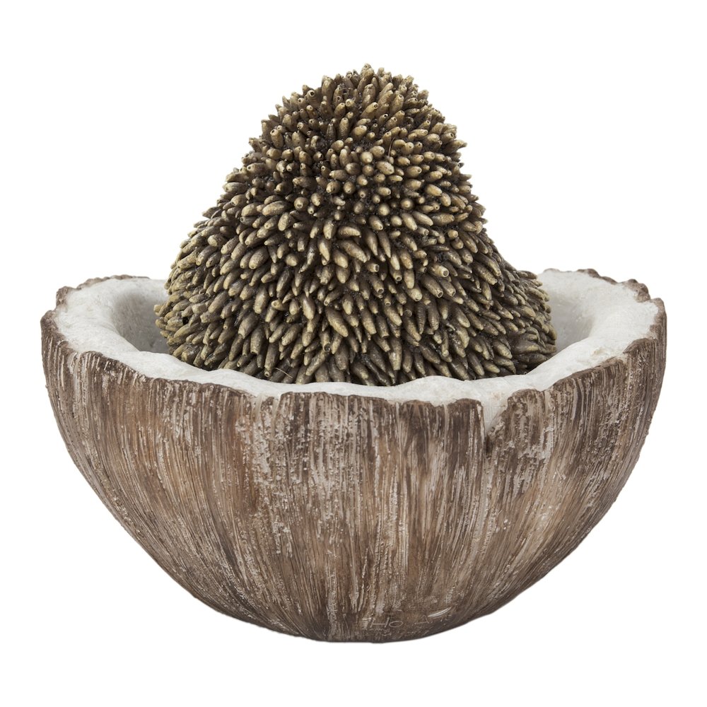 Coconut Hedgehog. Picture 4