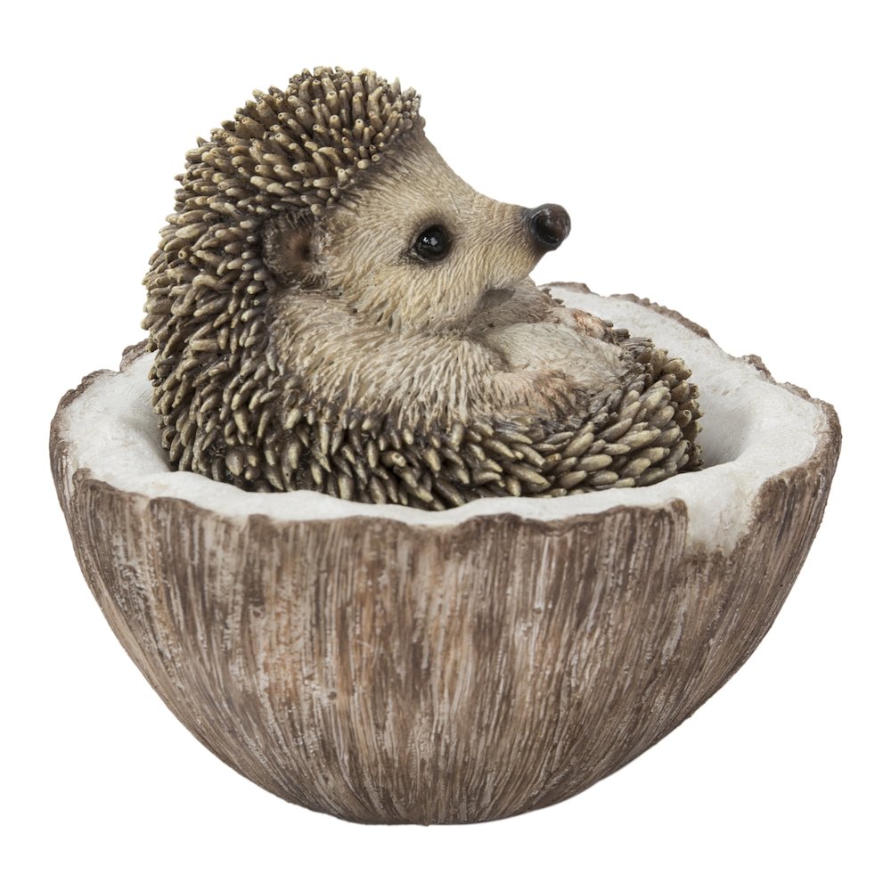 Coconut Hedgehog. Picture 3