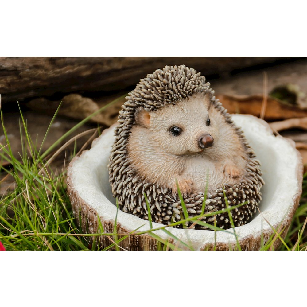 Coconut Hedgehog. Picture 6