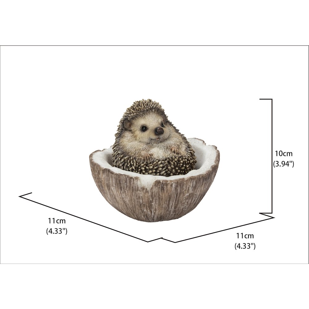 Coconut Hedgehog. Picture 5
