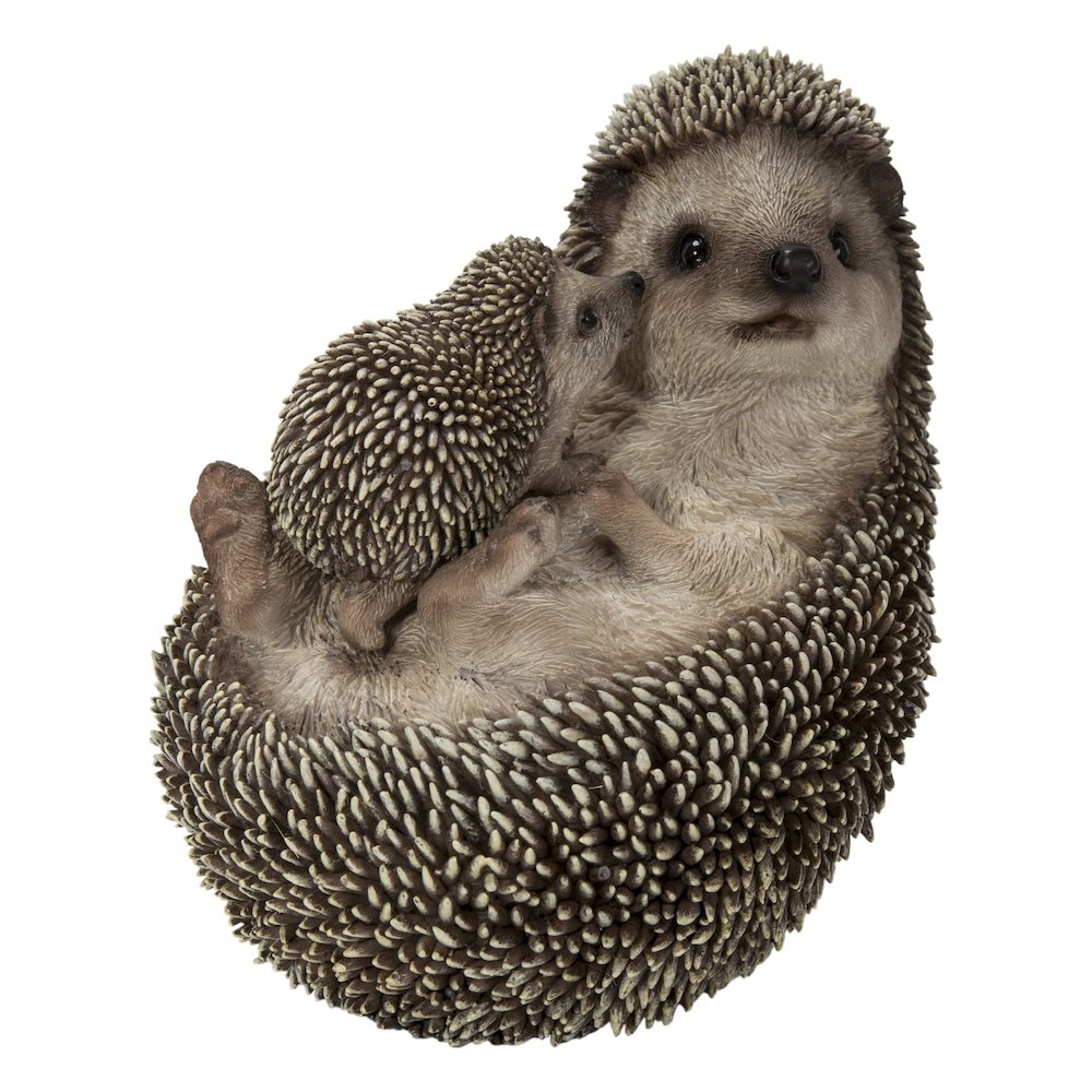 Mother & Baby Hedgehogs On Back. Picture 2