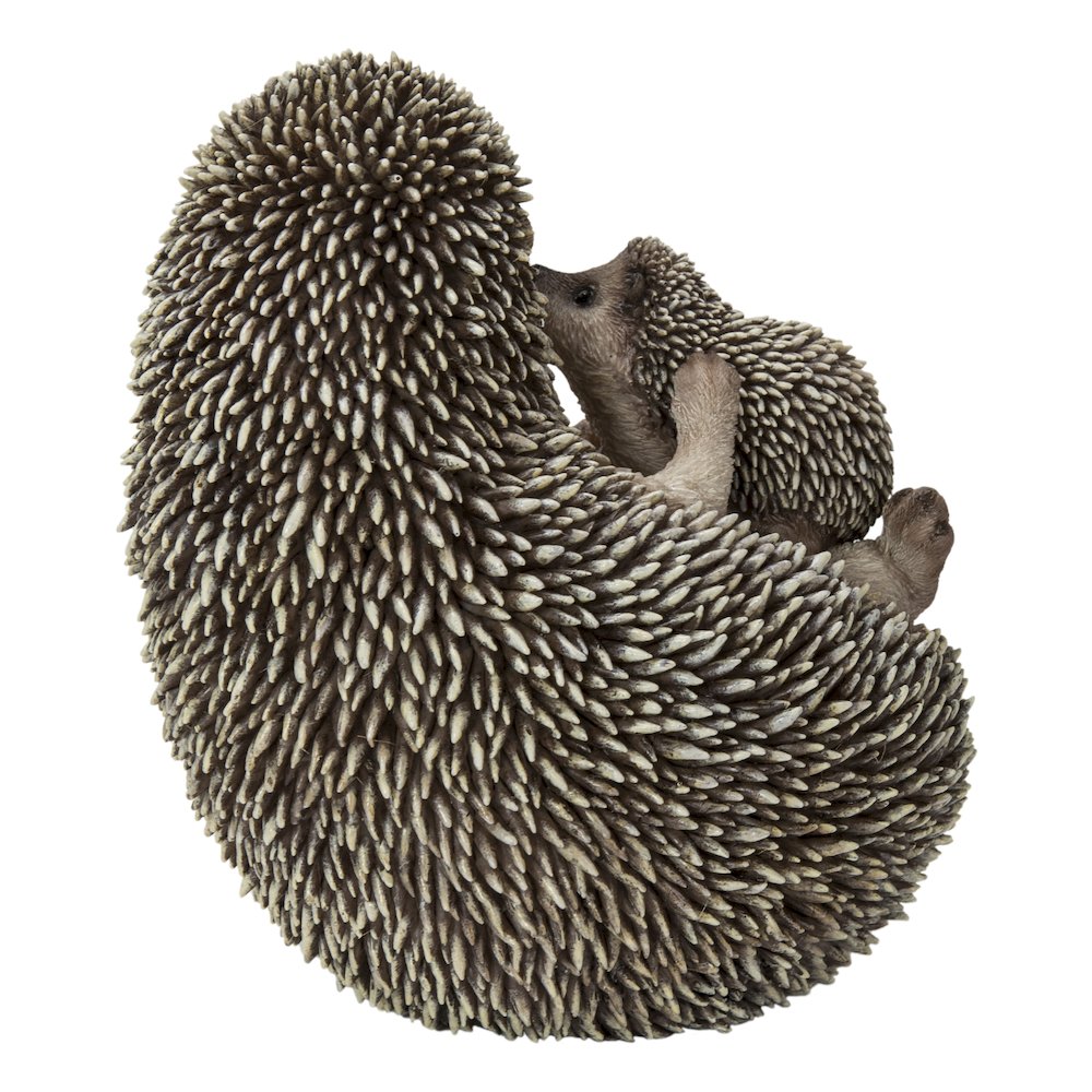 Mother & Baby Hedgehogs On Back. Picture 4