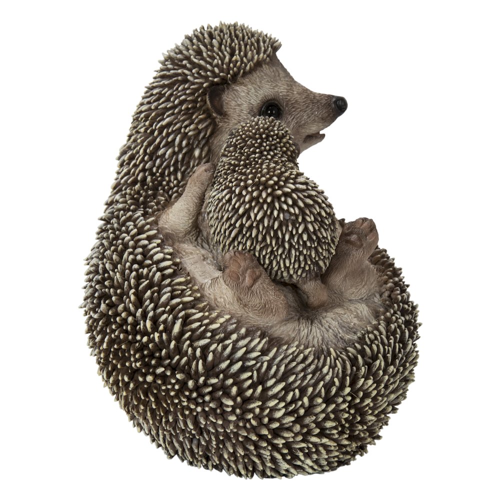 Mother & Baby Hedgehogs On Back. Picture 3