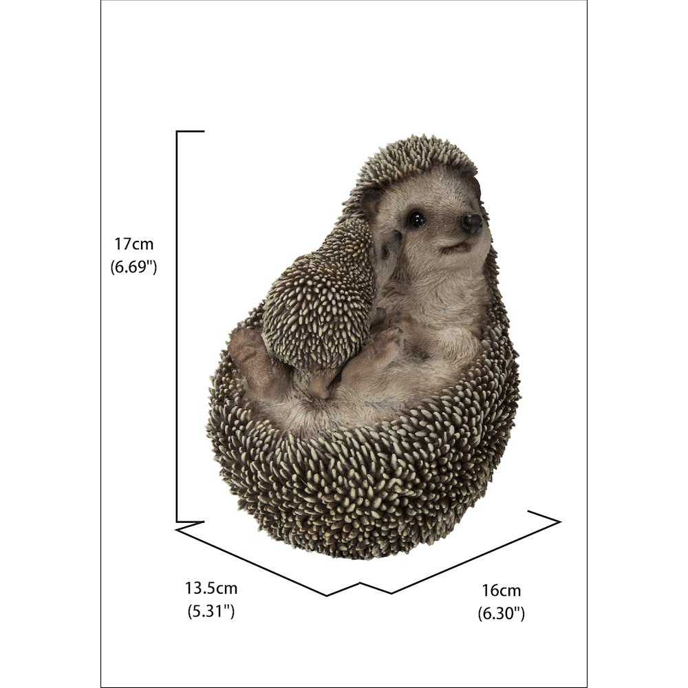 Mother & Baby Hedgehogs On Back. Picture 5