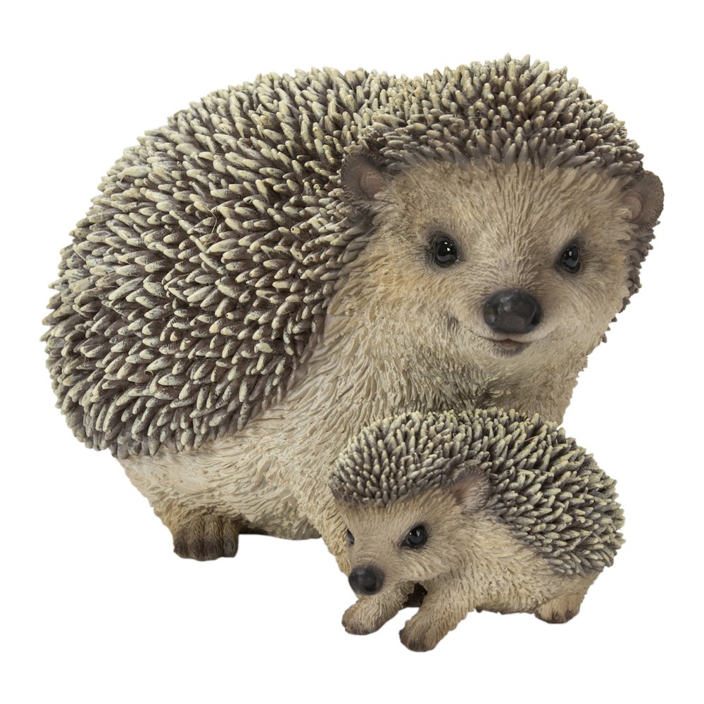 Mother & Baby Hedgehogs. Picture 2