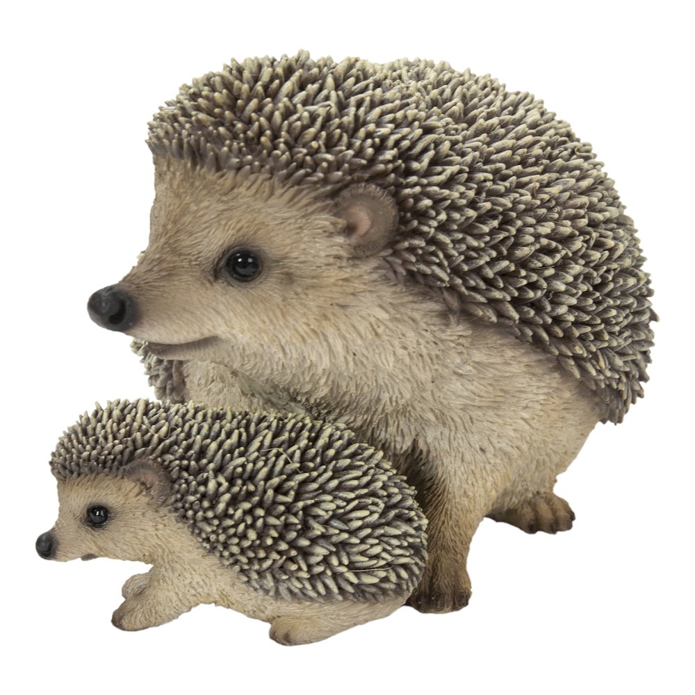 Mother & Baby Hedgehogs. Picture 3