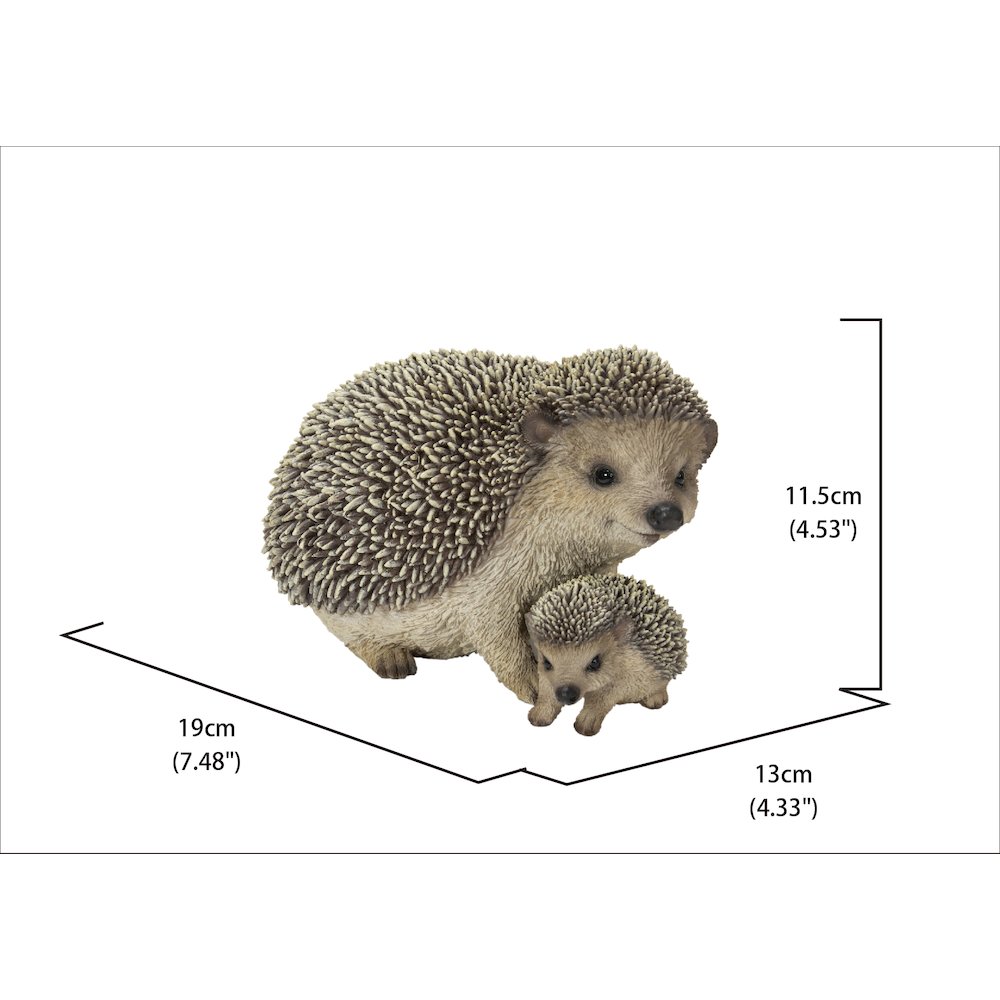 Mother & Baby Hedgehogs. Picture 5