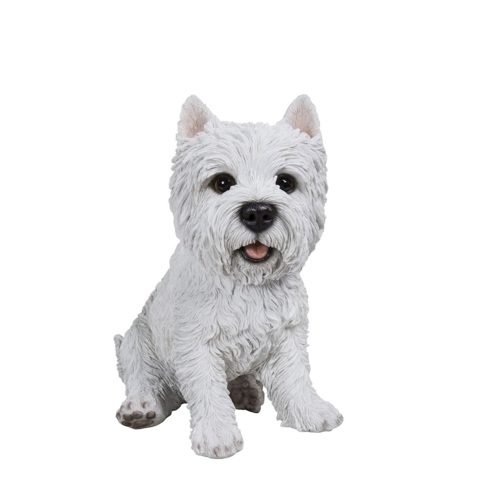 Sitting White Terrier. Picture 2