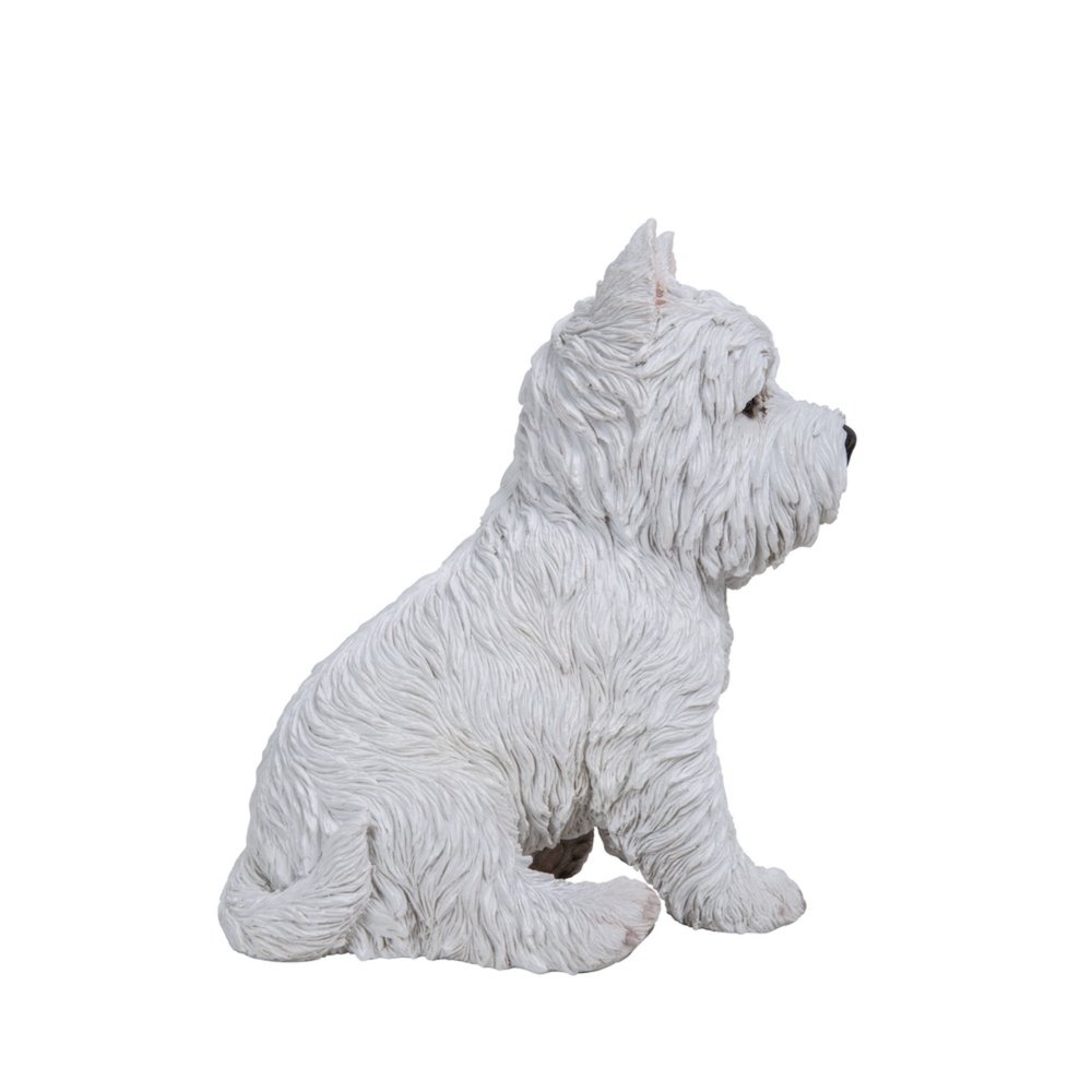 Sitting White Terrier. Picture 4