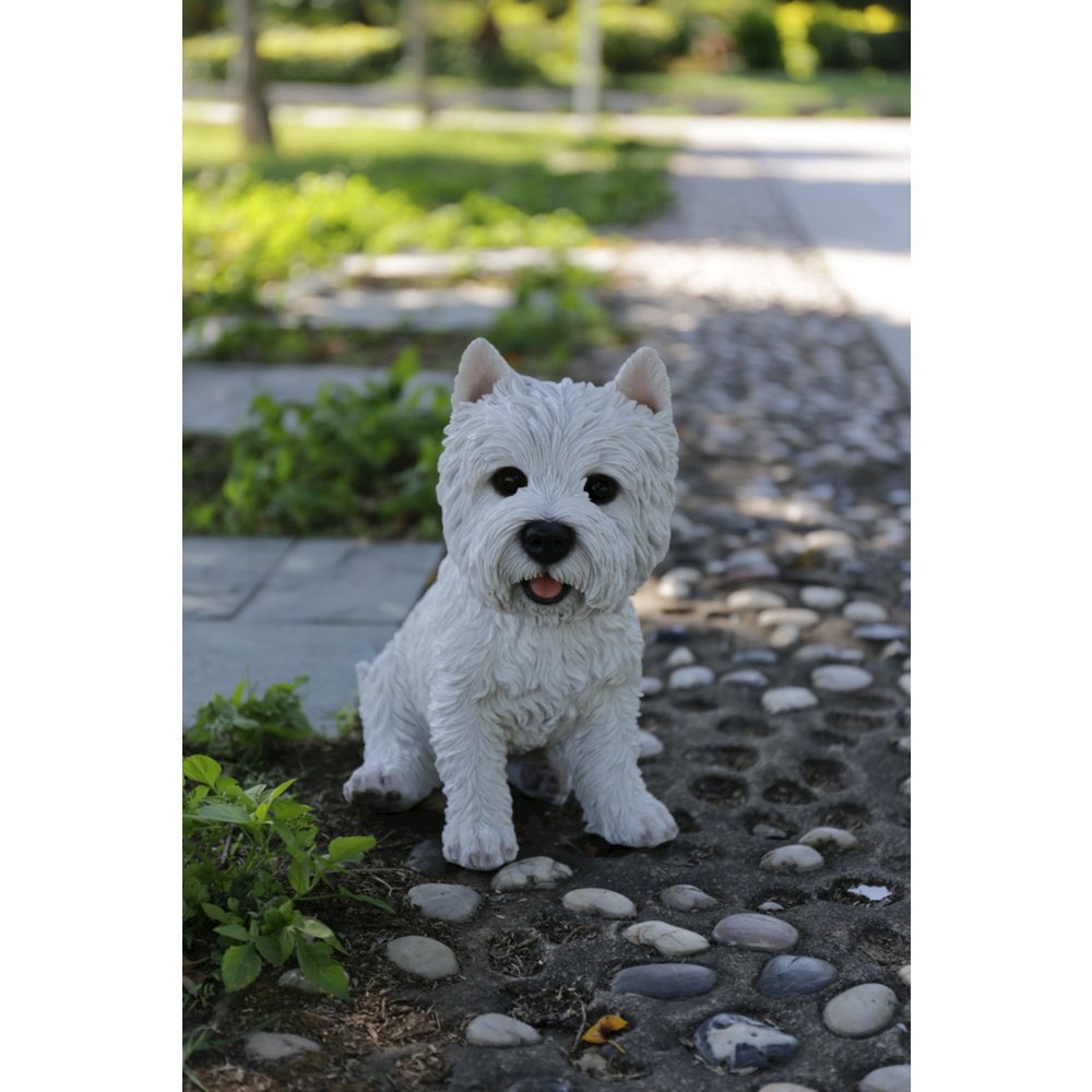 Sitting White Terrier. Picture 5