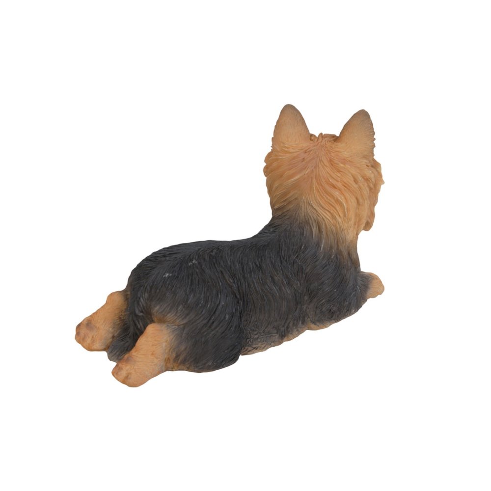 Yorkshire Terrier Lying Down. Picture 3