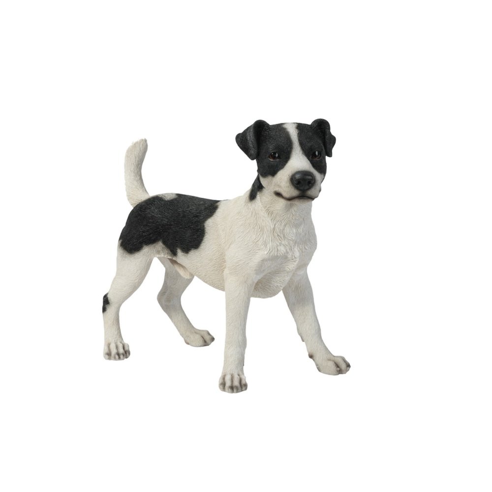 Standing Jack Russell. Picture 2