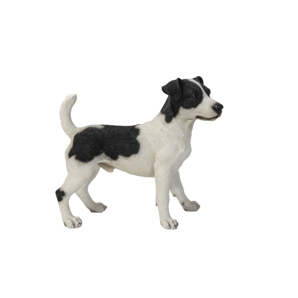 Standing Jack Russell. Picture 4