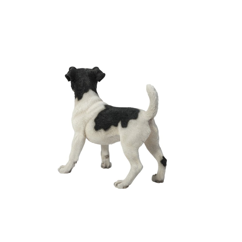 Standing Jack Russell. Picture 1