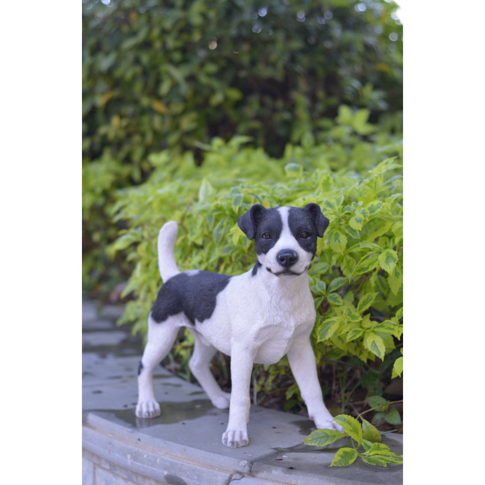 Standing Jack Russell. Picture 5