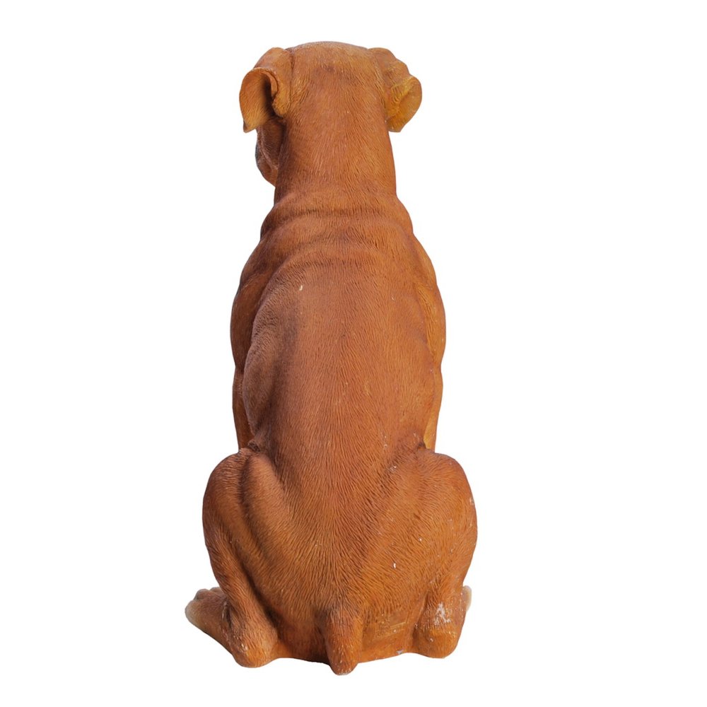 Sitting Boxer. Picture 5