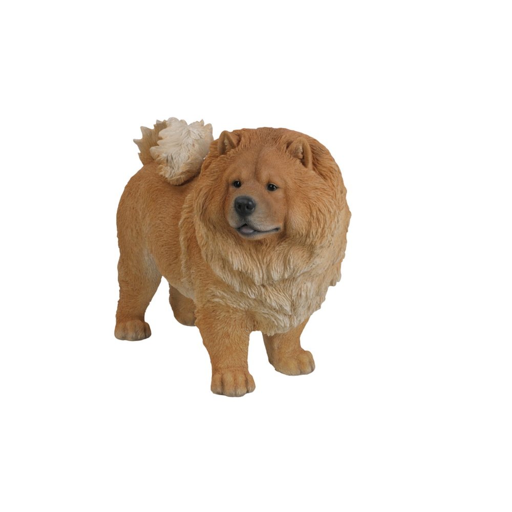 Standing Chow Chow. Picture 2