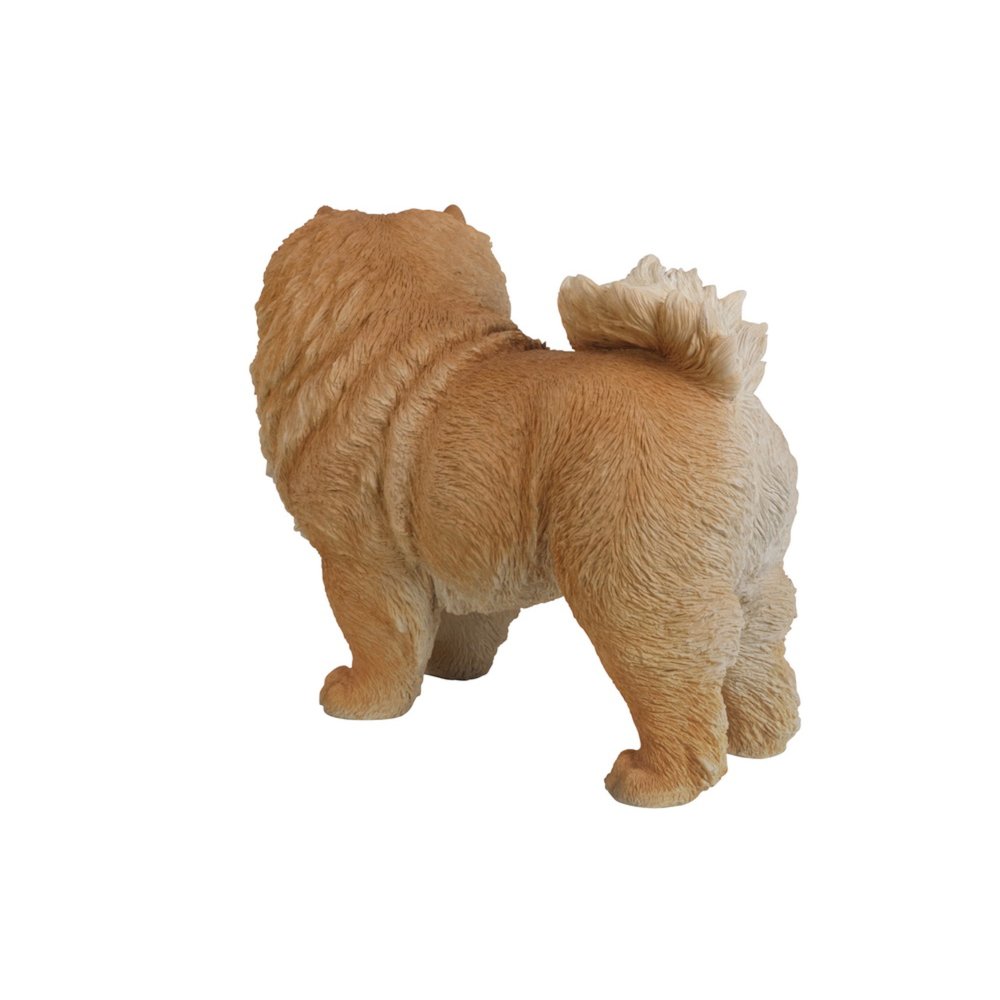 Standing Chow Chow. Picture 3