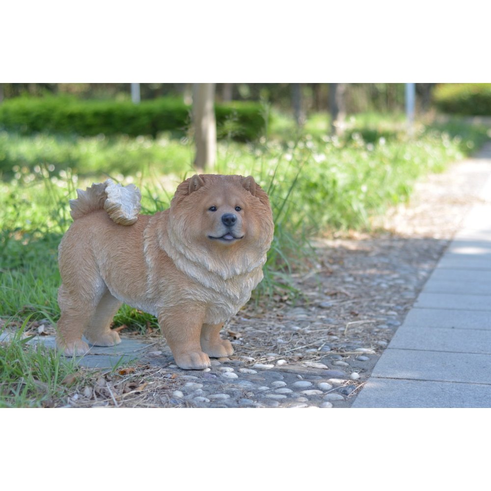 Standing Chow Chow. Picture 5