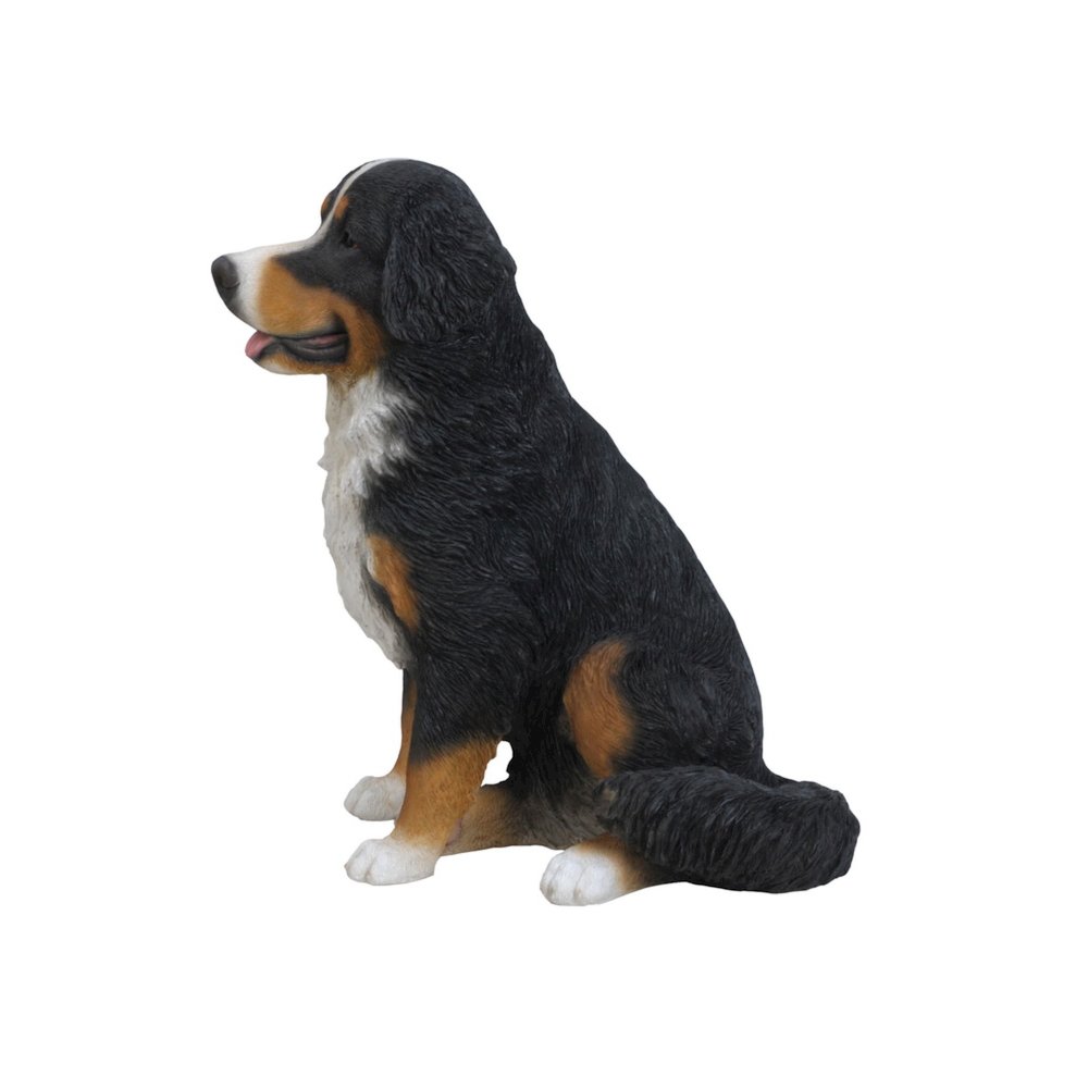 Bernese Mountain Dog. Picture 3