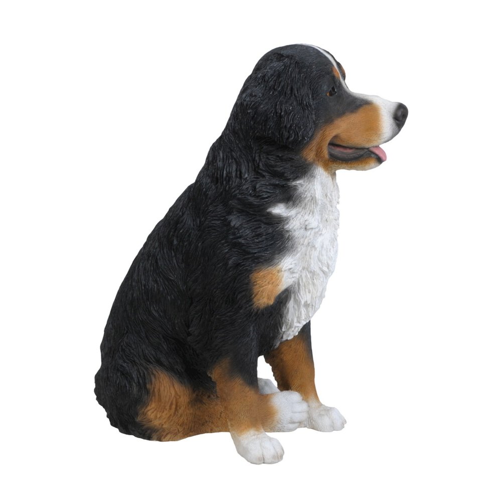 Bernese Mountain Dog. Picture 2