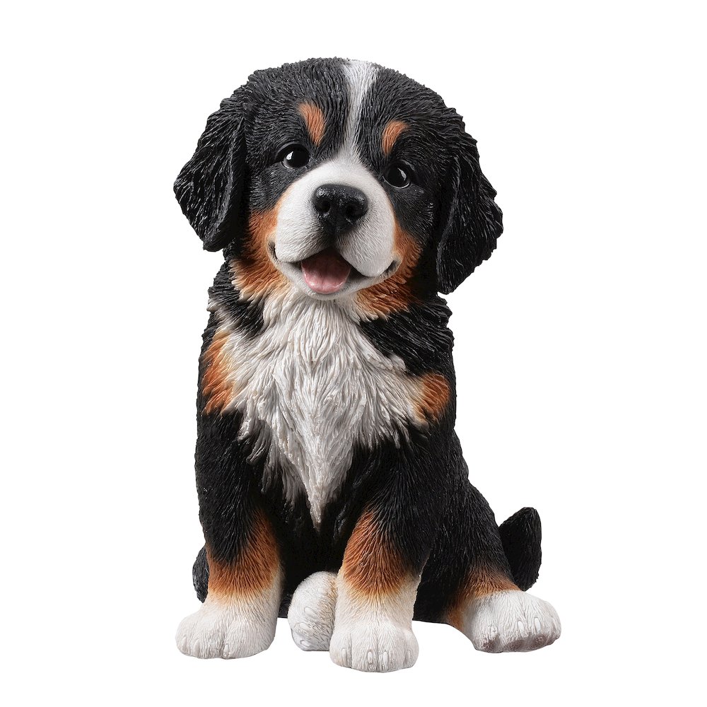 12.5" H Bernese Mountain Puppy Sitting (Hi-Line Exclusive). Picture 1