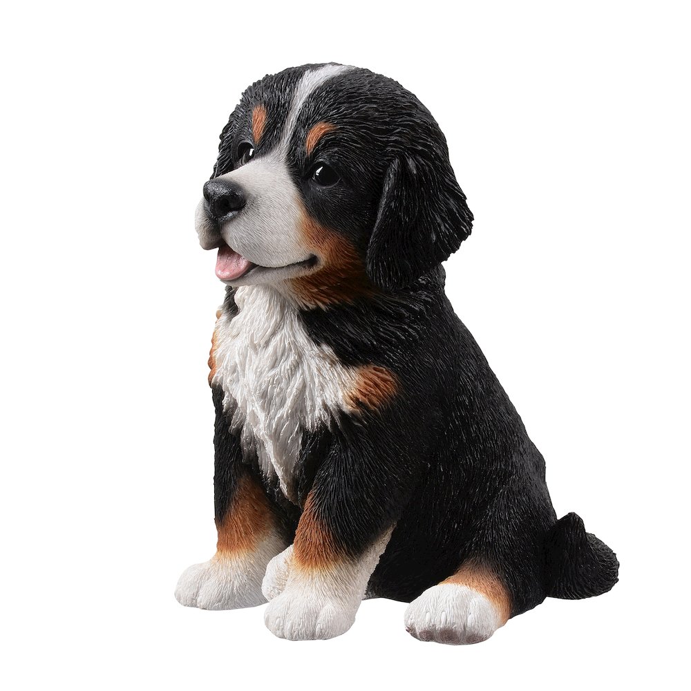 12.5" H Bernese Mountain Puppy Sitting (Hi-Line Exclusive). Picture 4