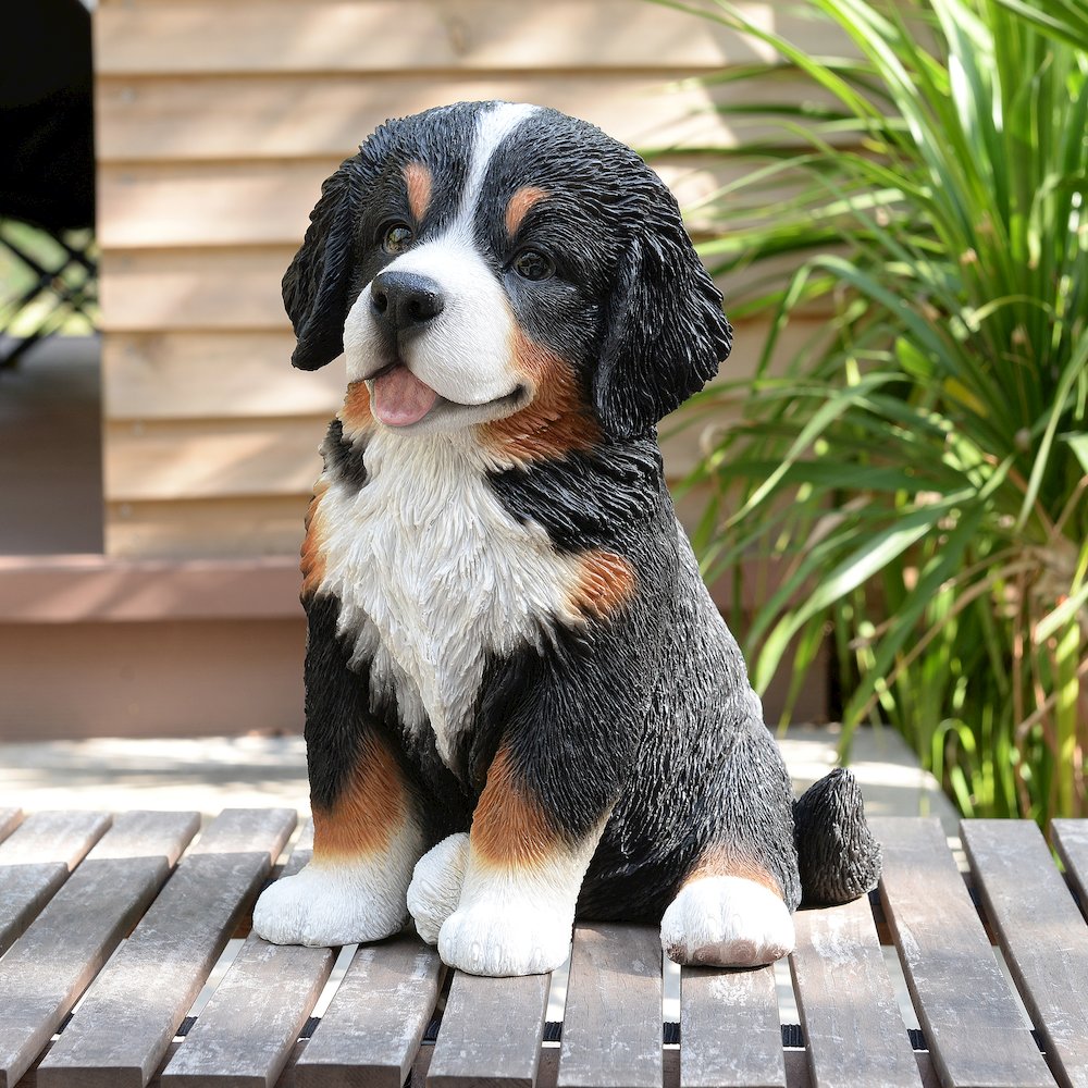 12.5" H Bernese Mountain Puppy Sitting (Hi-Line Exclusive). Picture 2