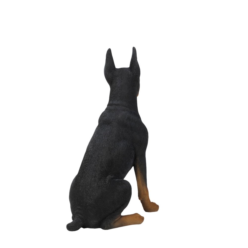 Sitting Doberman Pinscher. Picture 3