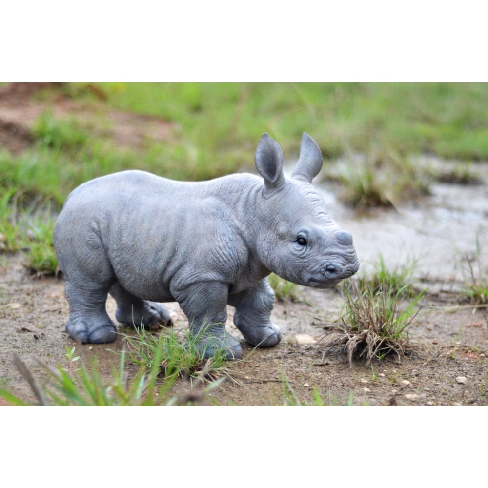 Rhino Baby Statue. Picture 3