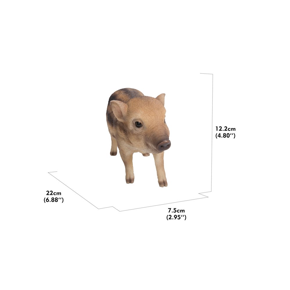 Wild Baby Boar Standing. Picture 5