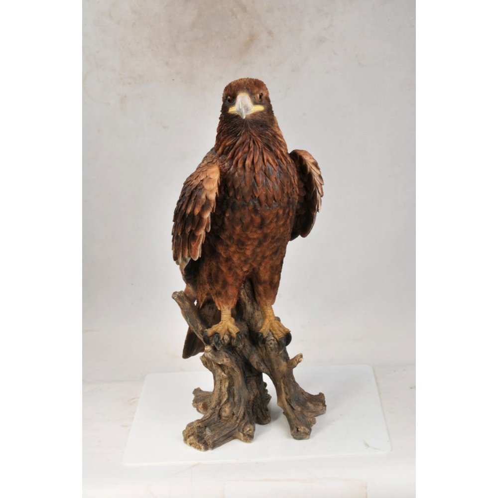 Golden Eagle. Picture 4