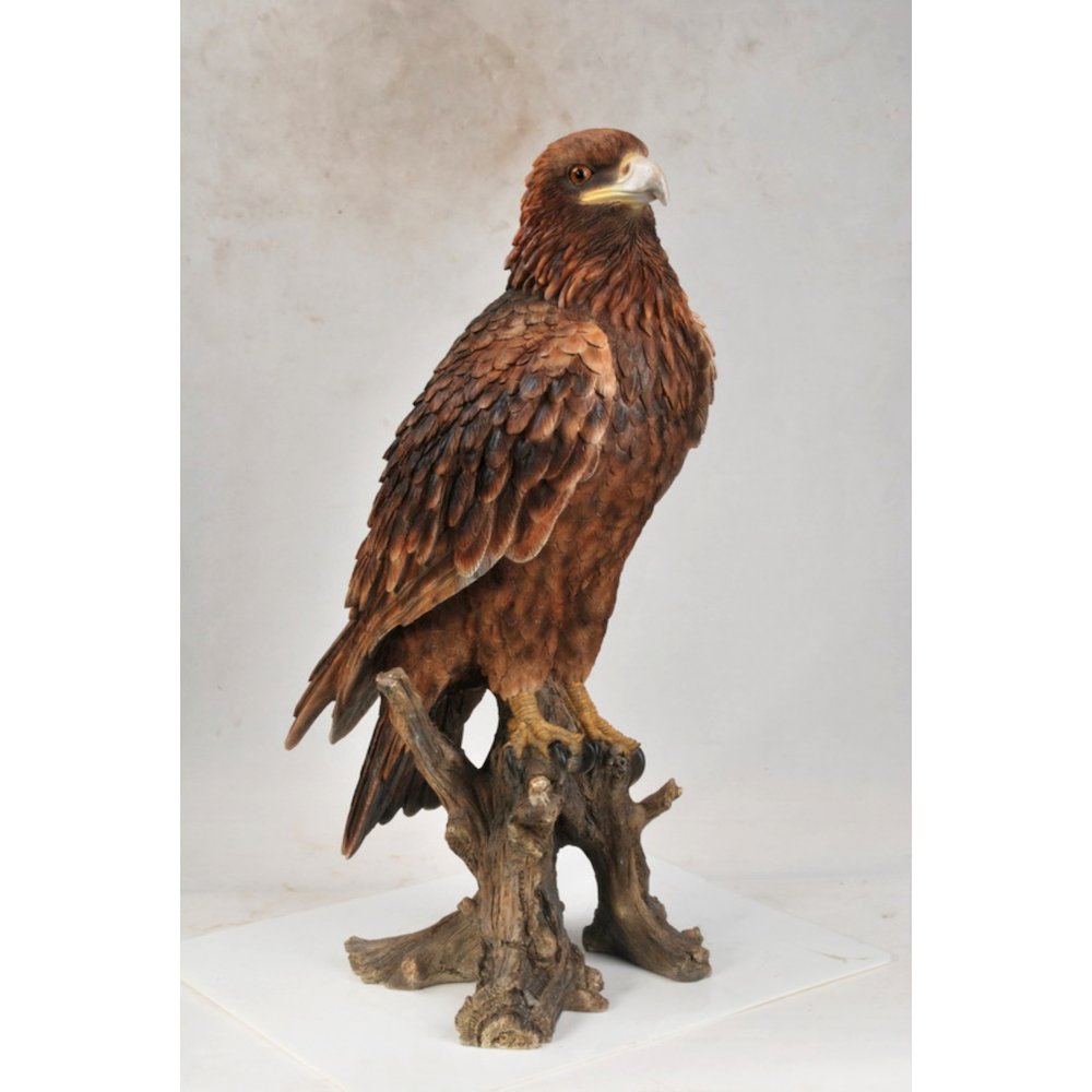 Golden Eagle. Picture 2