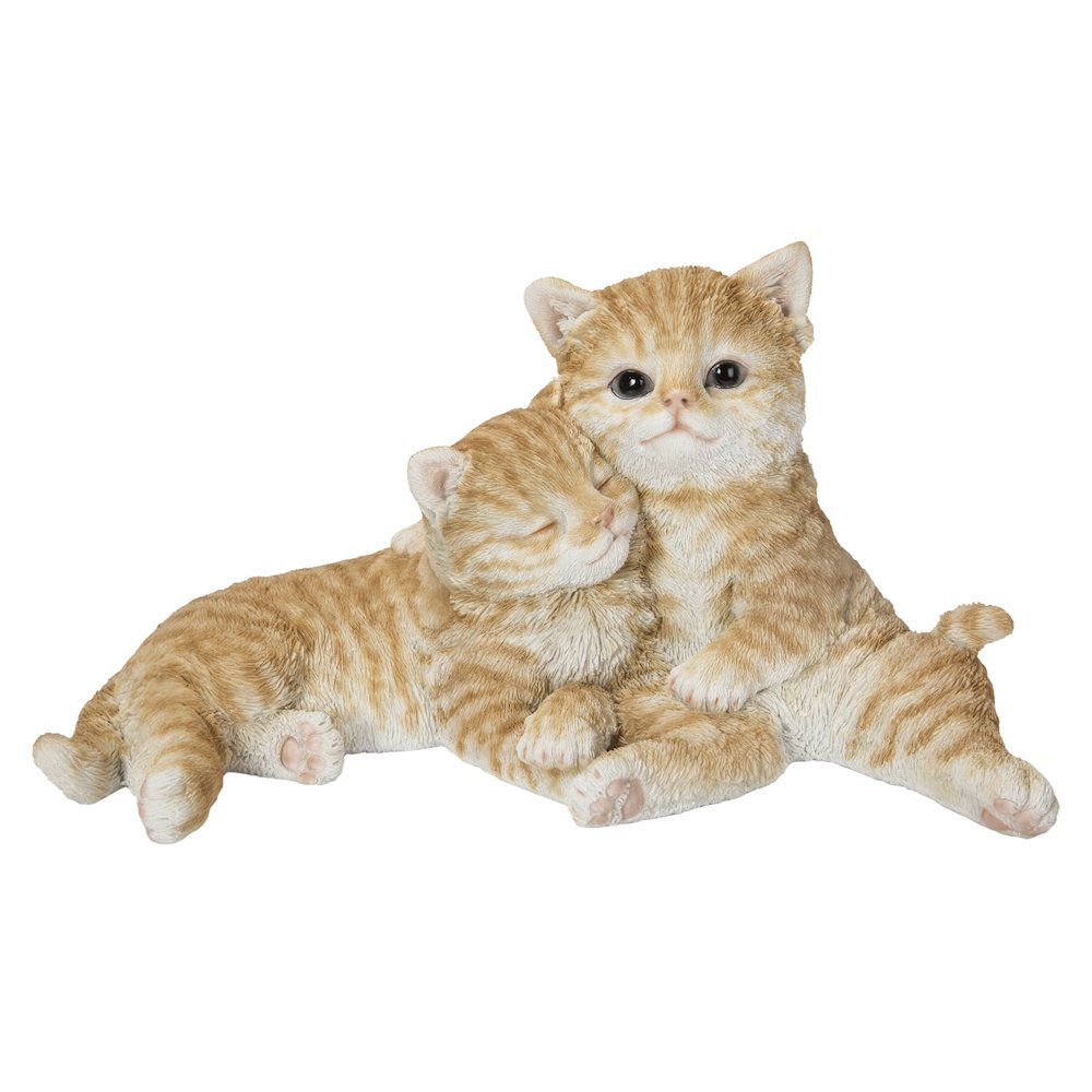 Couple Cat - Orange. Picture 2