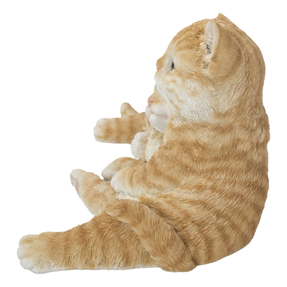 Couple Cat - Orange. Picture 1