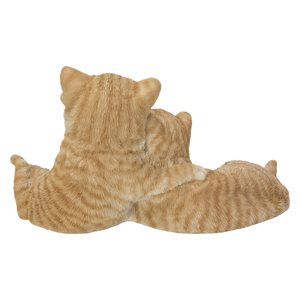 Couple Cat - Orange. Picture 4