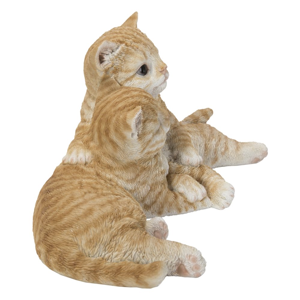 Couple Cat - Orange. Picture 3