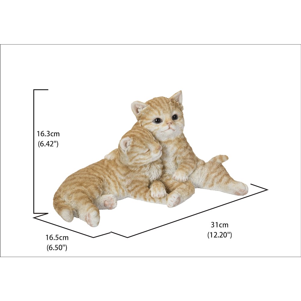 Couple Cat - Orange. Picture 5