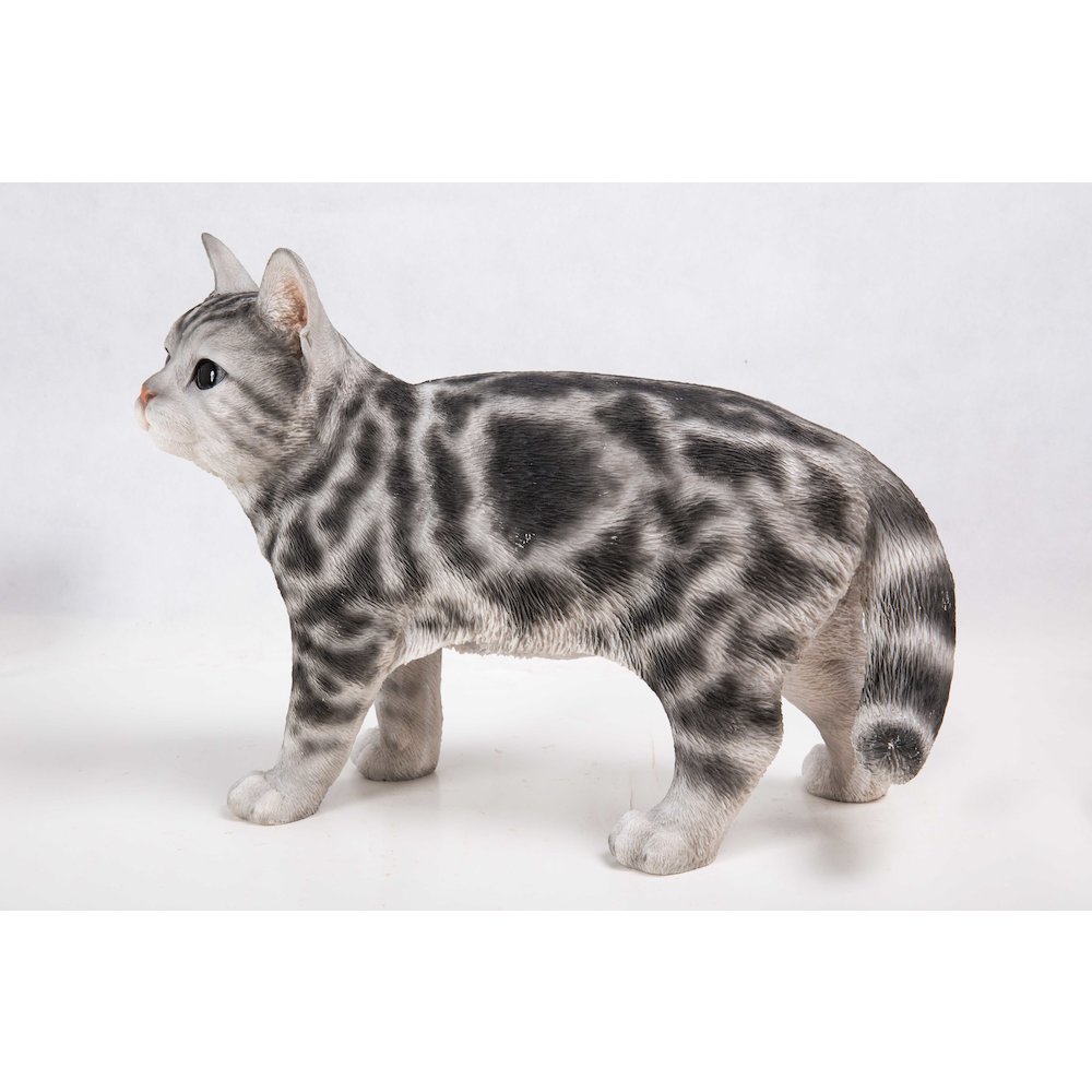 Standing American Shorthair Statue. Picture 4