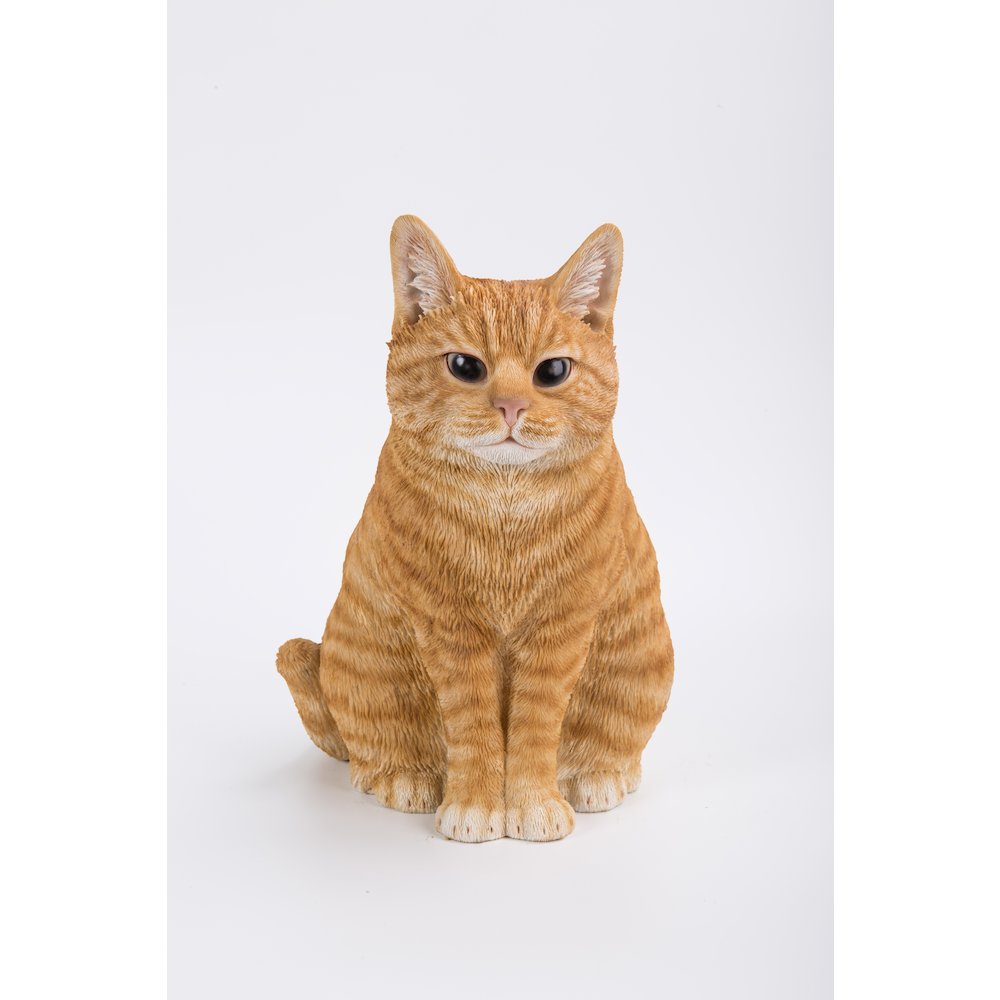 Orange Tabby Cat Sitting. Picture 2