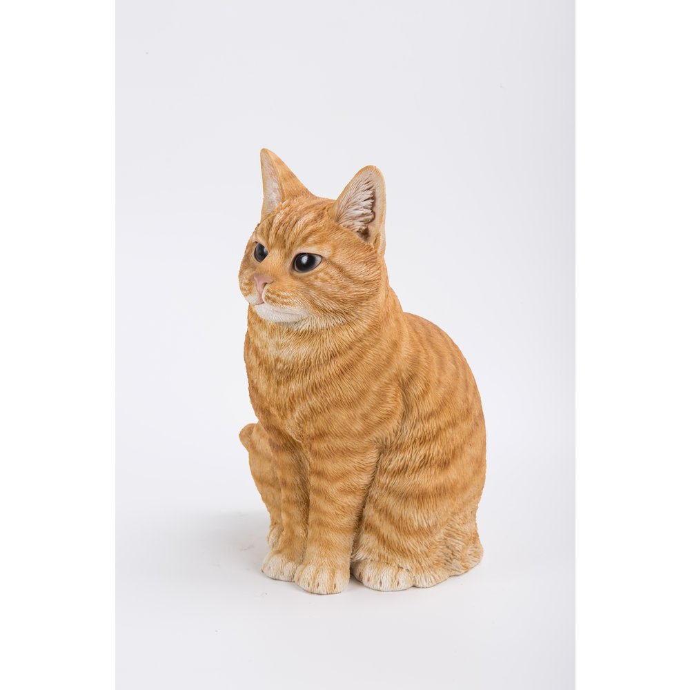 Orange Tabby Cat Sitting. Picture 6