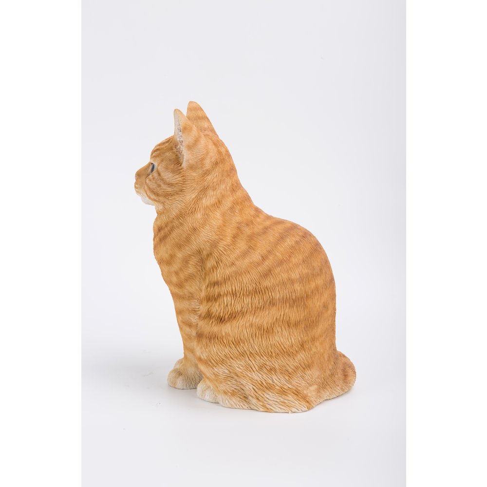Orange Tabby Cat Sitting. Picture 3