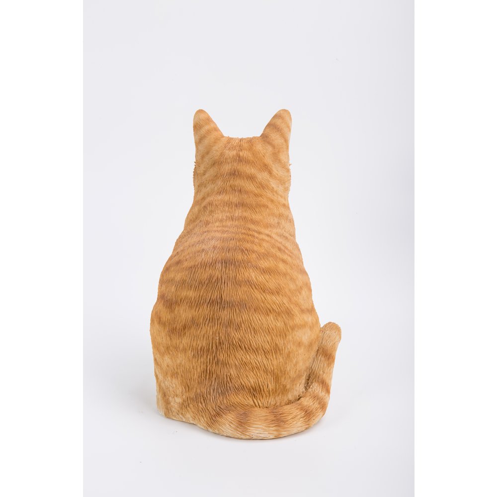 Orange Tabby Cat Sitting. Picture 5