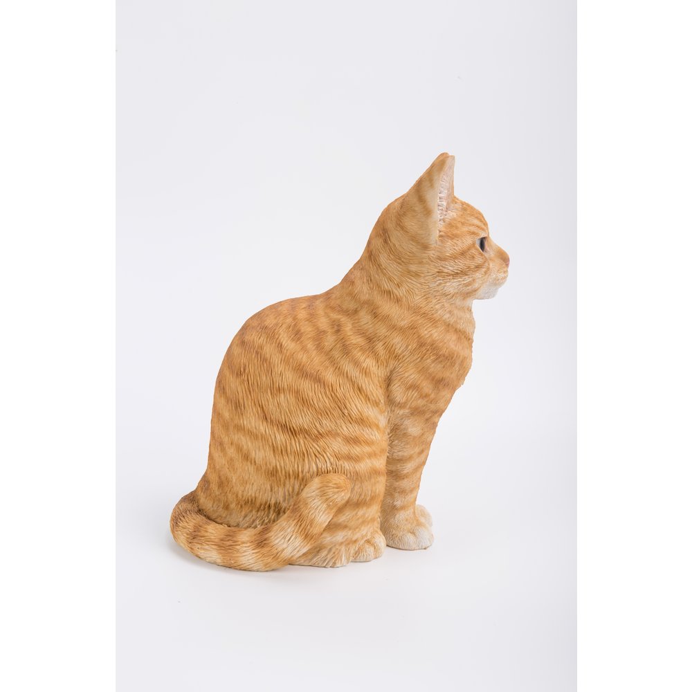 Orange Tabby Cat Sitting. Picture 1