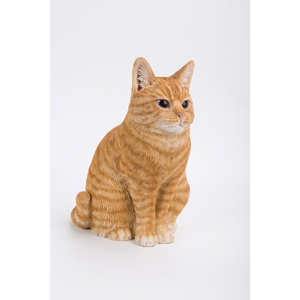 Orange Tabby Cat Sitting. Picture 4