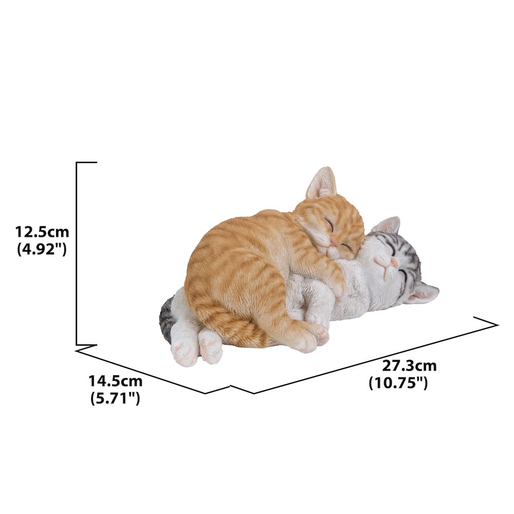 Orange & Grey Tabby Cats Sleeping. Picture 6
