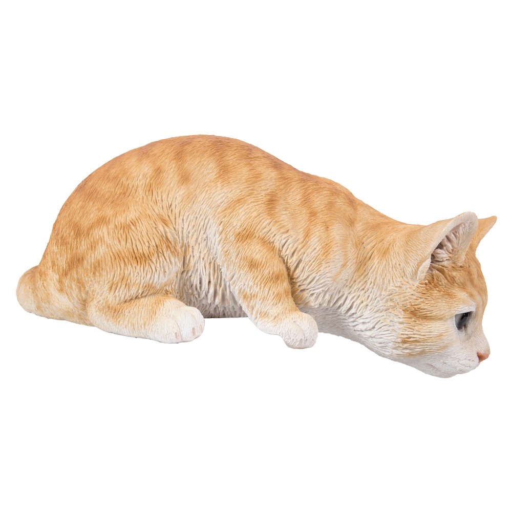 Cat Looking Over LEDge - Orange Tabby. Picture 2