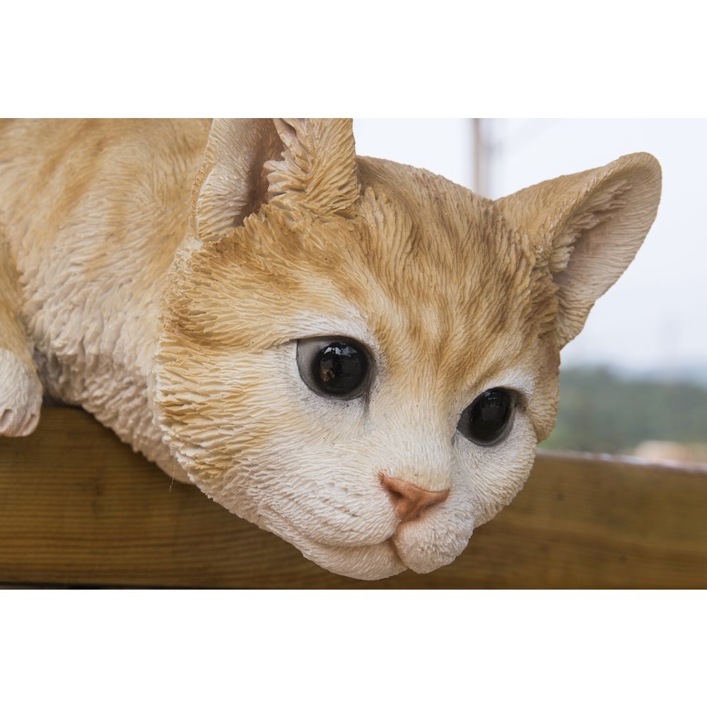 Cat Looking Over LEDge - Orange Tabby. Picture 5