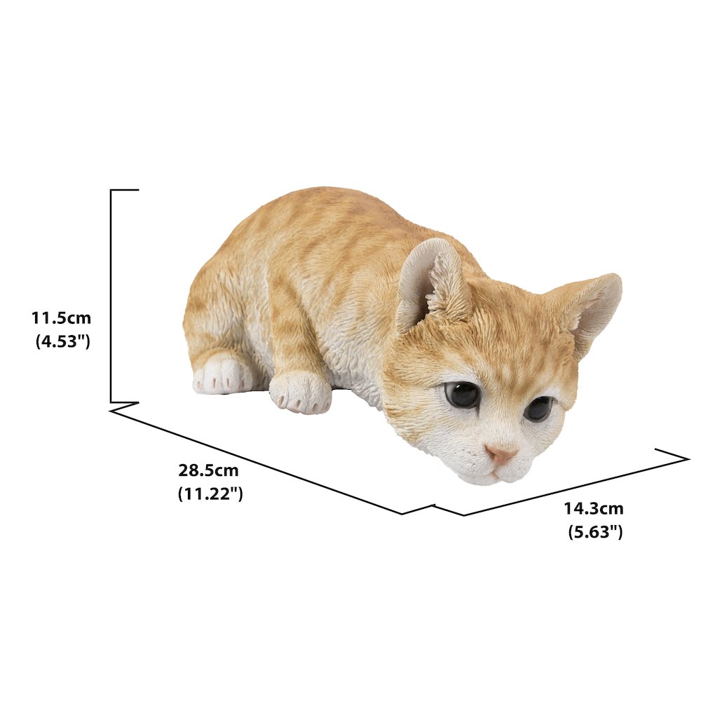 Cat Looking Over LEDge - Orange Tabby. Picture 4